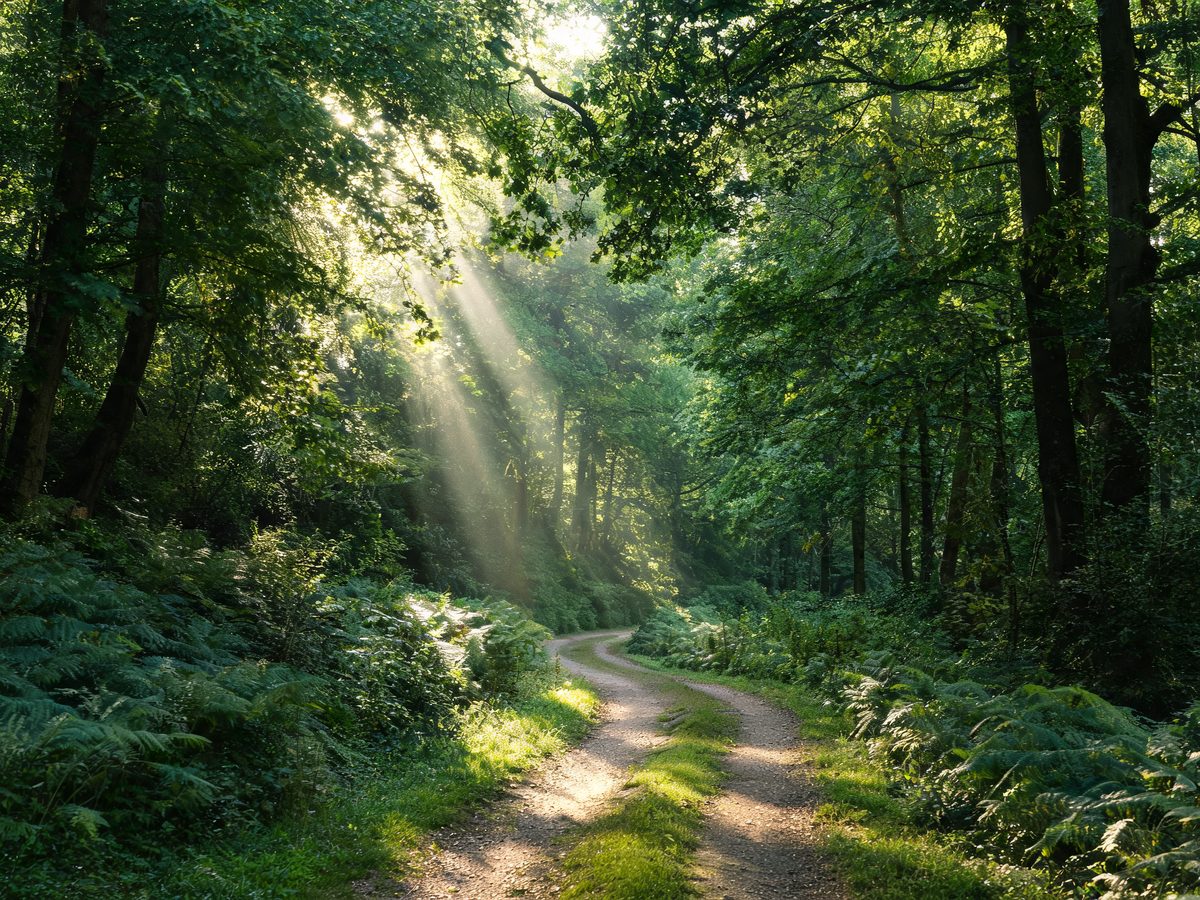 Lacotebelge Voyages - Lacotebelge Voyages - Des aventures belges authentiques et pleines de surprises.